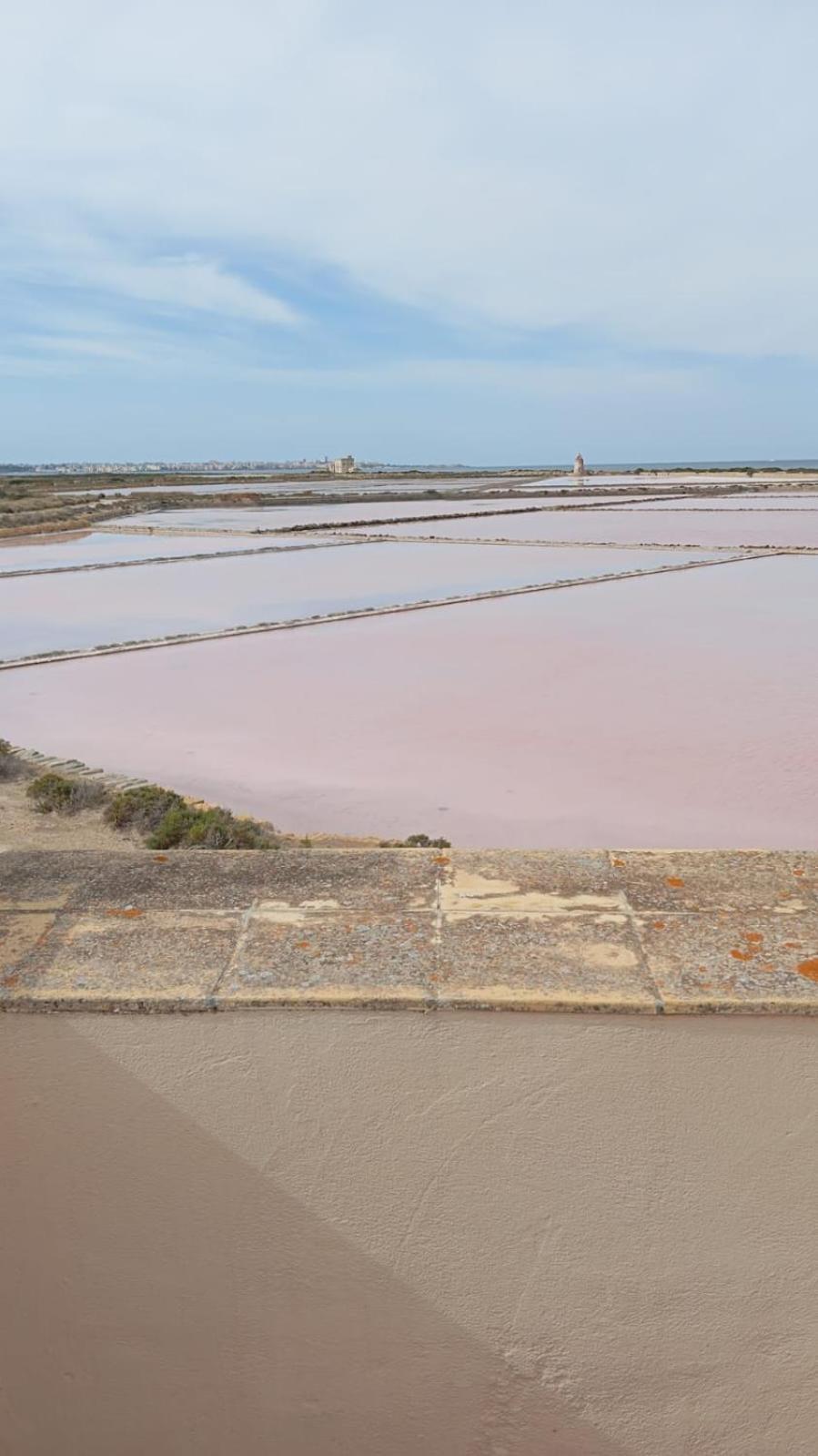 B&B Gli Ontani Trapani Bagian luar foto